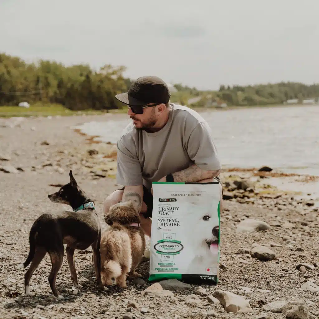 Small dog enjoying Oven-Baked Tradition grain-free duck urinary health dog food on the beach
