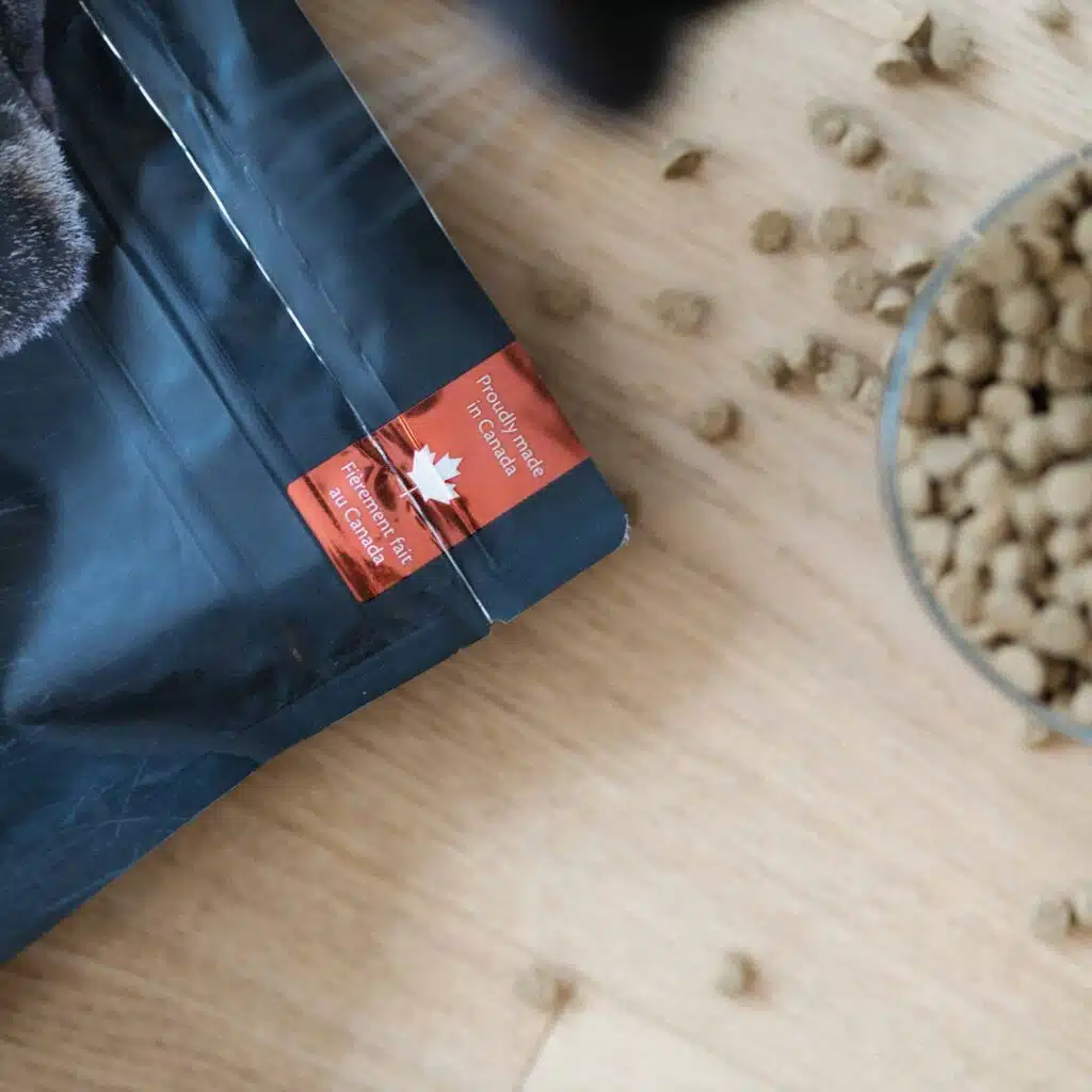 IMG 8025 LR edited 1