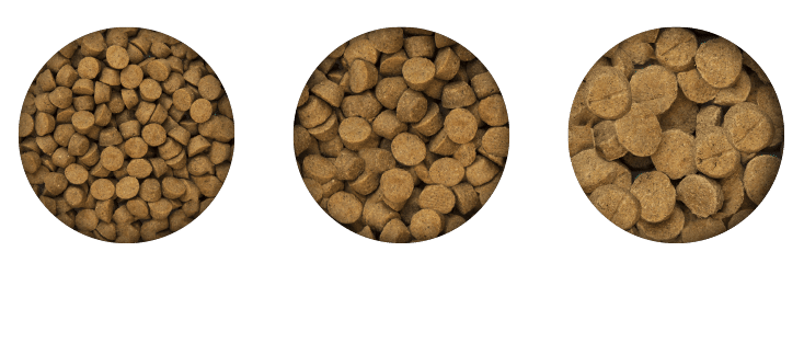 Différents formats de croquettes Oven-Baked Tradition cuites au four pour chiens de petites races, toutes races et grandes races, fabriquées au Québec.