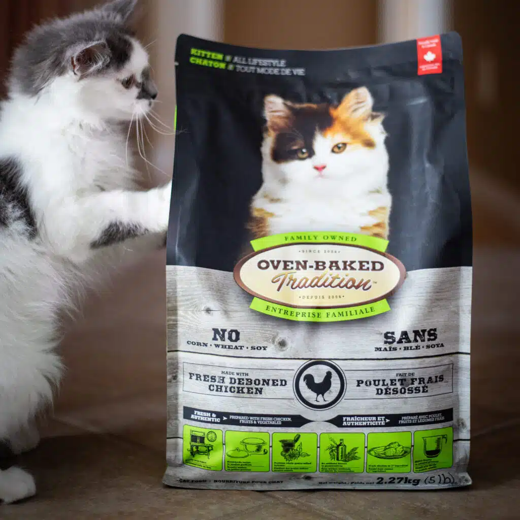 Chaton regardant un sac de nourriture pour chaton au poulet Oven-Baked Tradition, riche en protéines et adaptée à la croissance.