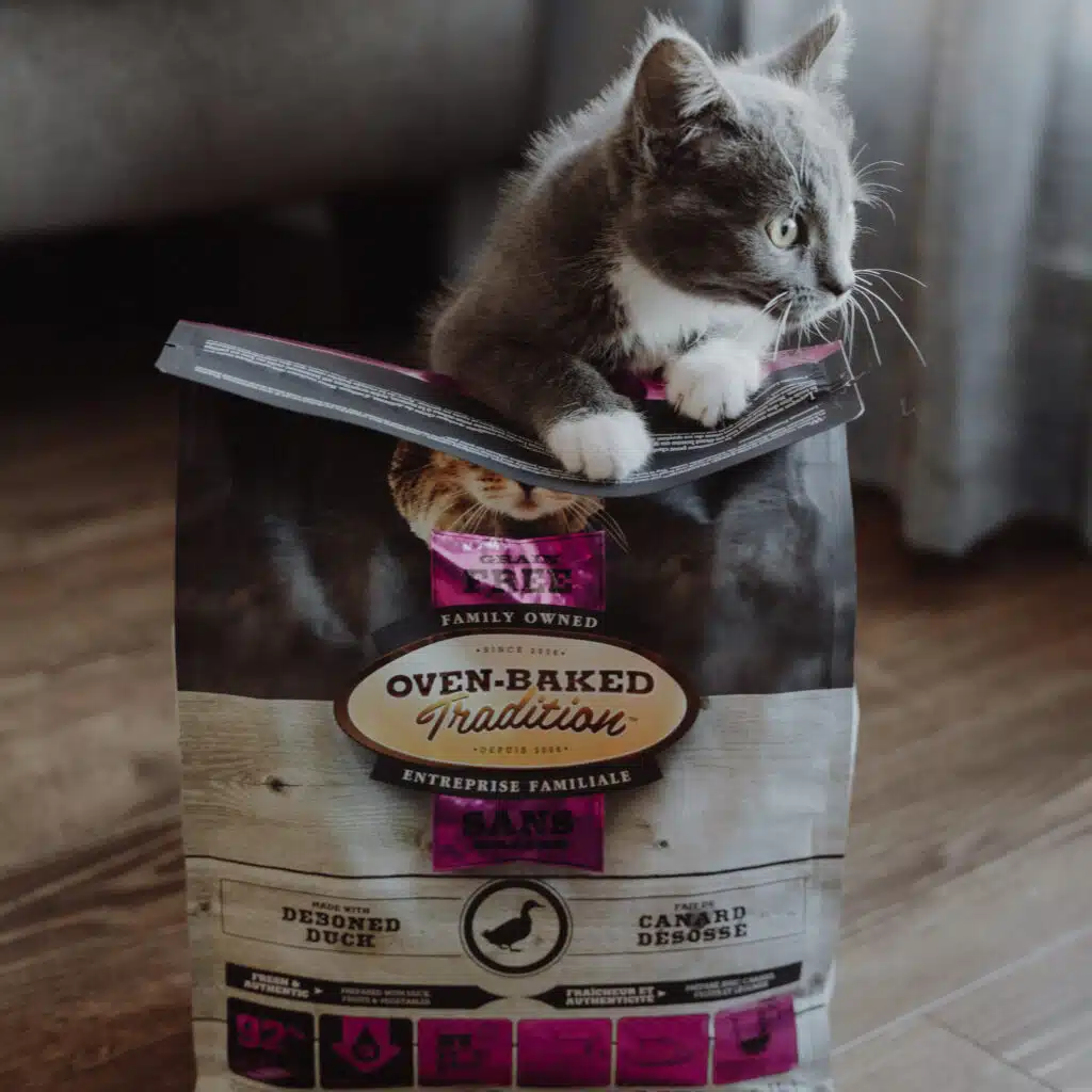 Chaton jouant avec un sac de nourriture pour tous les stades de vie au canard Oven-Baked Tradition, cuite au four et hypoallergénique.