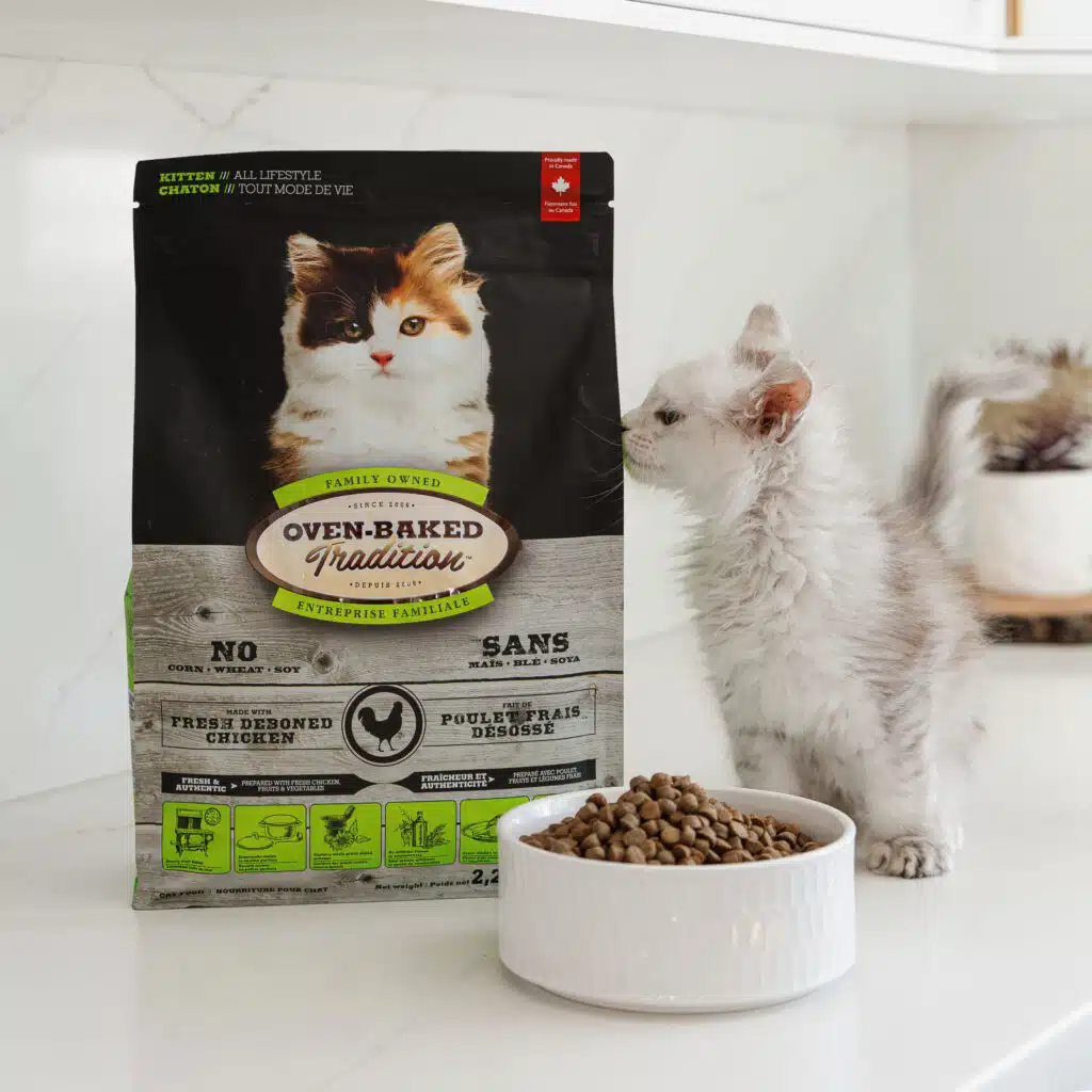 Chaton devant un bol et un sac de nourriture pour chaton cuite au four Oven-Baked Tradition, riche en protéines et fabriquée au Québec.