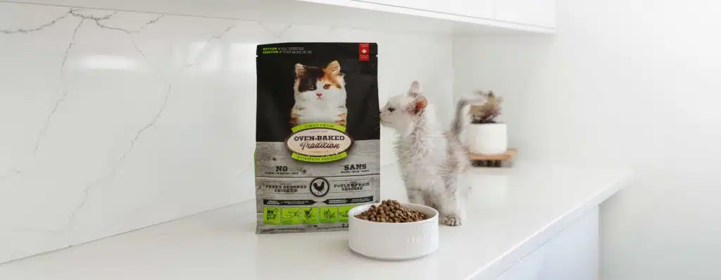Chaton devant un bol et un sac de nourriture pour chaton cuite au four Oven-Baked Tradition, riche en protéines et fabriquée au Québec.