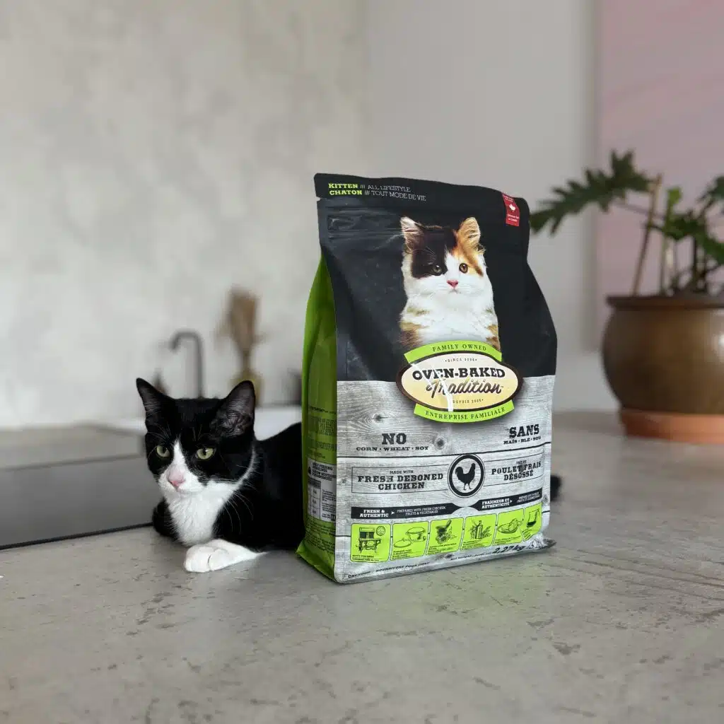 Chaton couché à côté d’un sac de nourriture pour chaton Oven-Baked Tradition, cuite au four et fièrement fabriquée au Québec.