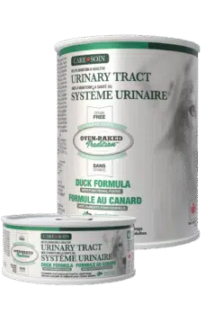 OBT WebSite Care Cans Dog Urinary v2