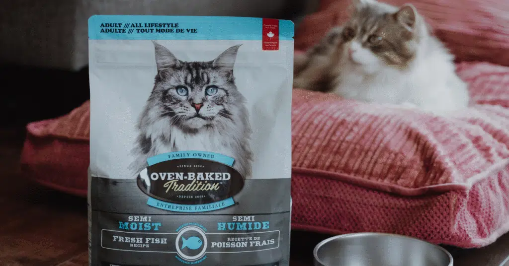 Chat avec un sac de nourriture semi-humide au poisson Oven-Baked Tradition, une recette novatrice pour chats.