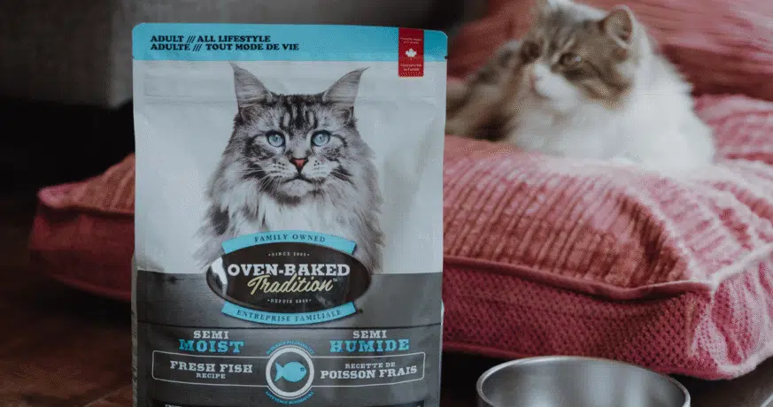 Chat avec un sac de nourriture semi-humide au poisson Oven-Baked Tradition, une recette novatrice pour chats.