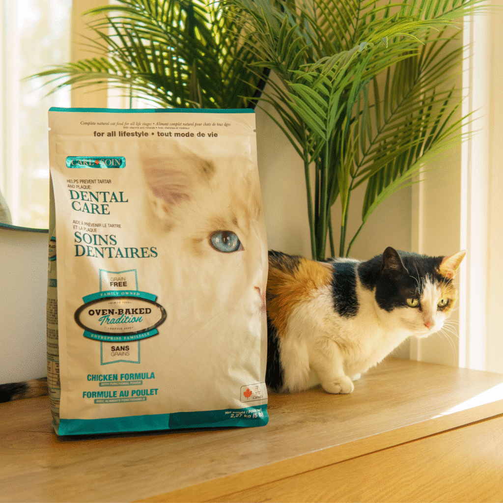 Chat qui attend le retour de sa famille près de sa nourriture Oven-Baked Tradition Soin Dentaire pendant la rentrée scolaire
