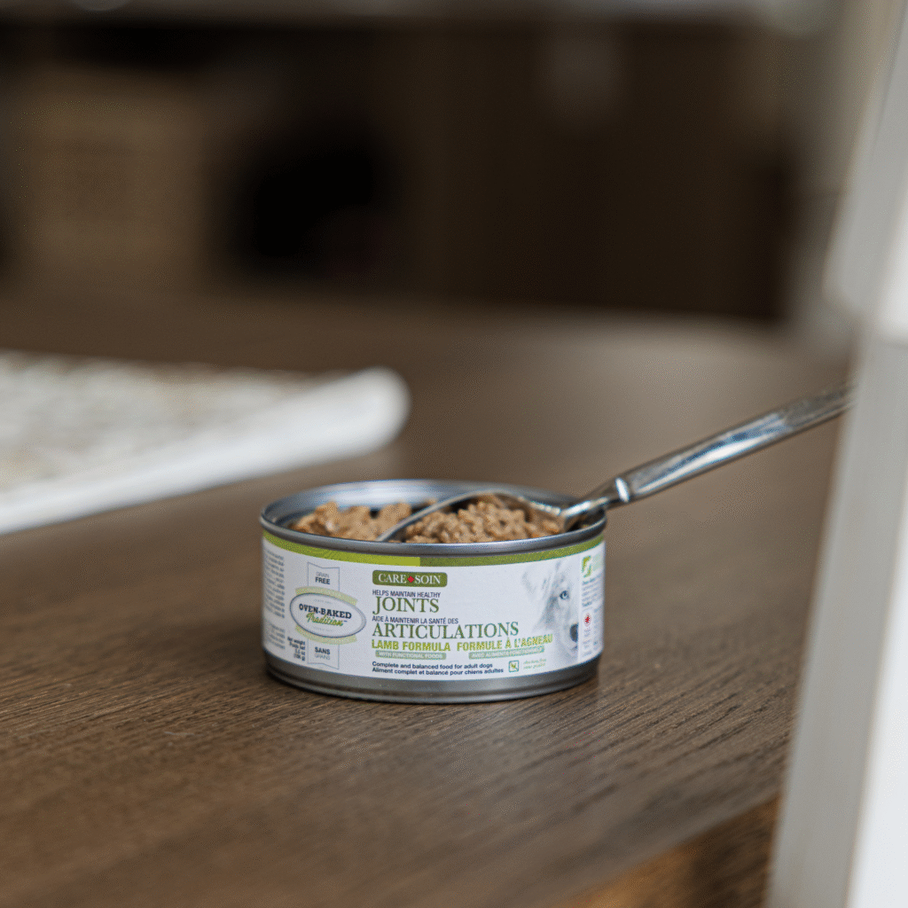 Conserve de pâté sans grains à l’agneau pour chien adulte, formule articulations.