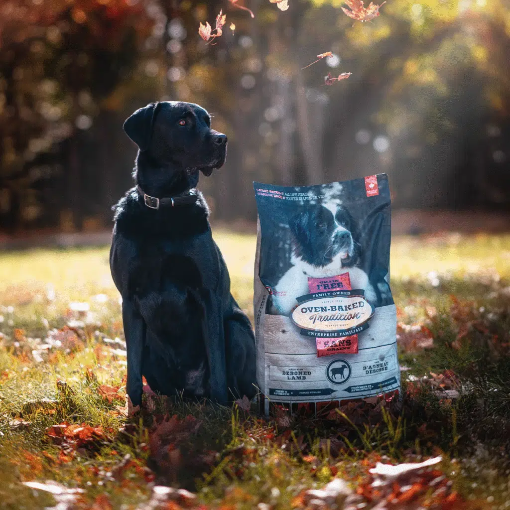 Large-breed dog with a bag of grain-free lamb food designed to support healthy joints.