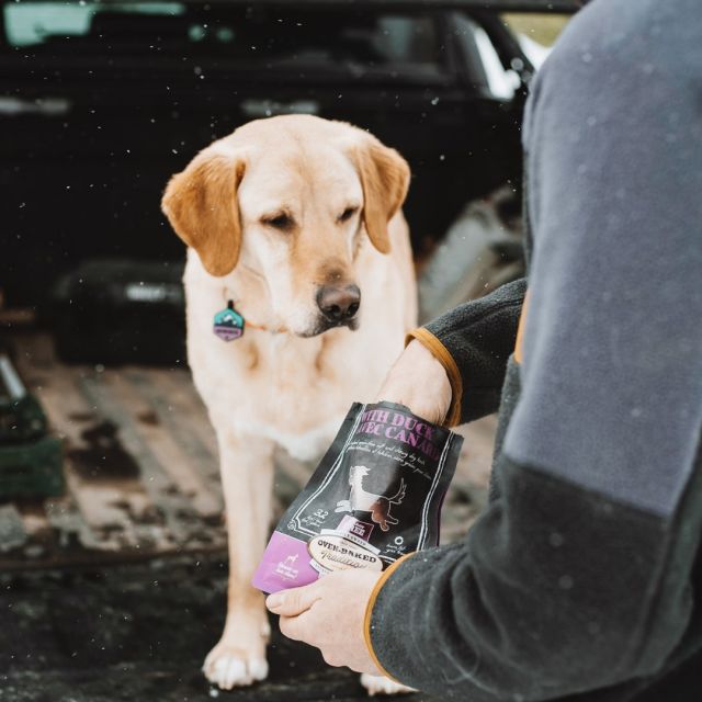 The look that says ‘’Please give me my snack now’’ 😂
.
.
 Le regard qui dit ‘’ Donne-moi ma gâterie maintenant SVP’’ 😂
#ovenbakedtradition #petfood